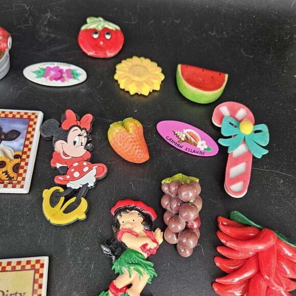 Lot 34 Refrigerator Magnets Hawaii Disney Cayman Islands Food Fruit Vegetable Ki - Picture 4 of 11